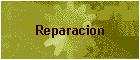 Reparacion